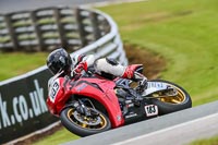 PJ-Motorsport-Photography-2020;anglesey;brands-hatch;cadwell-park;croft;donington-park;enduro-digital-images;event-digital-images;eventdigitalimages;mallory;no-limits;oulton-park;peter-wileman-photography;racing-digital-images;silverstone;snetterton;trackday-digital-images;trackday-photos;vmcc-banbury-run;welsh-2-day-enduro